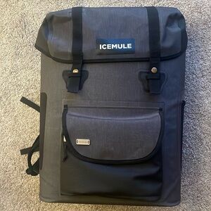 ICEMULE Urbano Backpack Cooler 30L